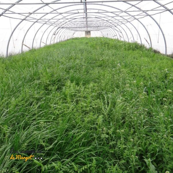 Mélange de graines bio Marevert spécial serre - Sac de 1 kg