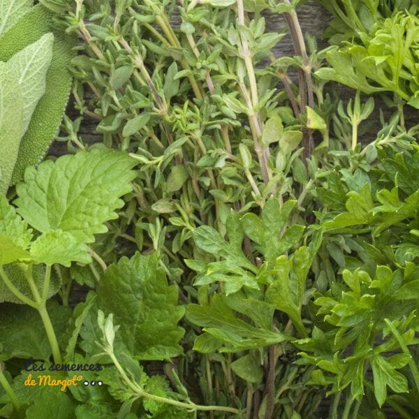 Mélange de graines bio bien-être et appétence Medivert - sac de 1 kg