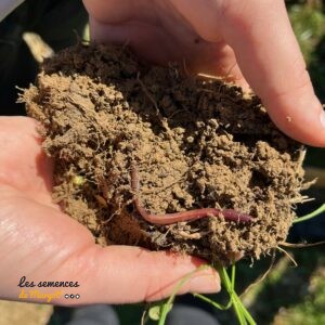 Mélange dynamisant pour sol vivant - Sac de 1 kg